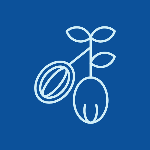 Icon of shea butter plant used to smooth skin and protect the barrier function in skincare routines